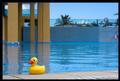 Fuerteventura 2007